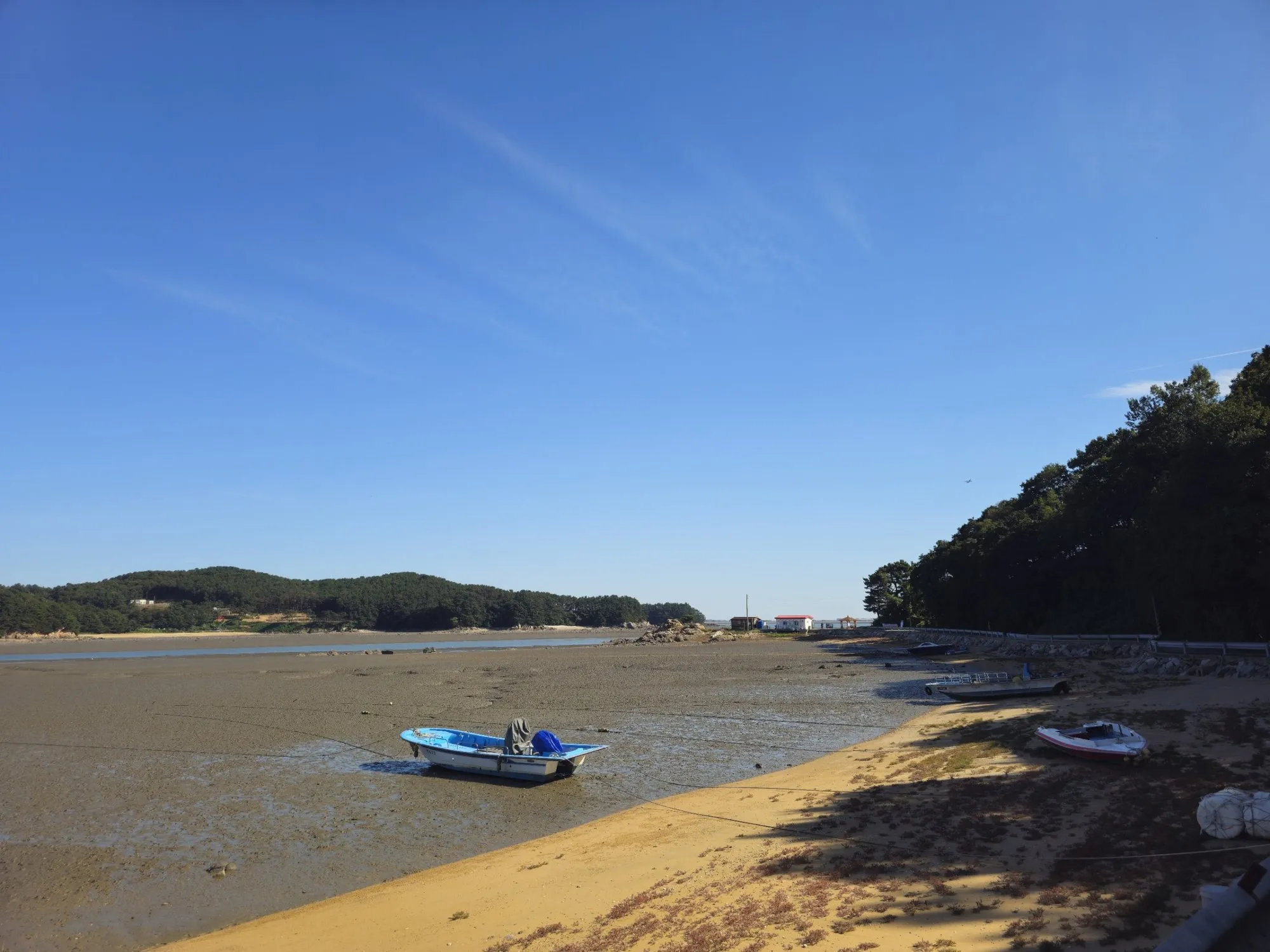 Fishing boats resting on the mudflats at low tide on Modo, with Sido's forested hills across the channel.